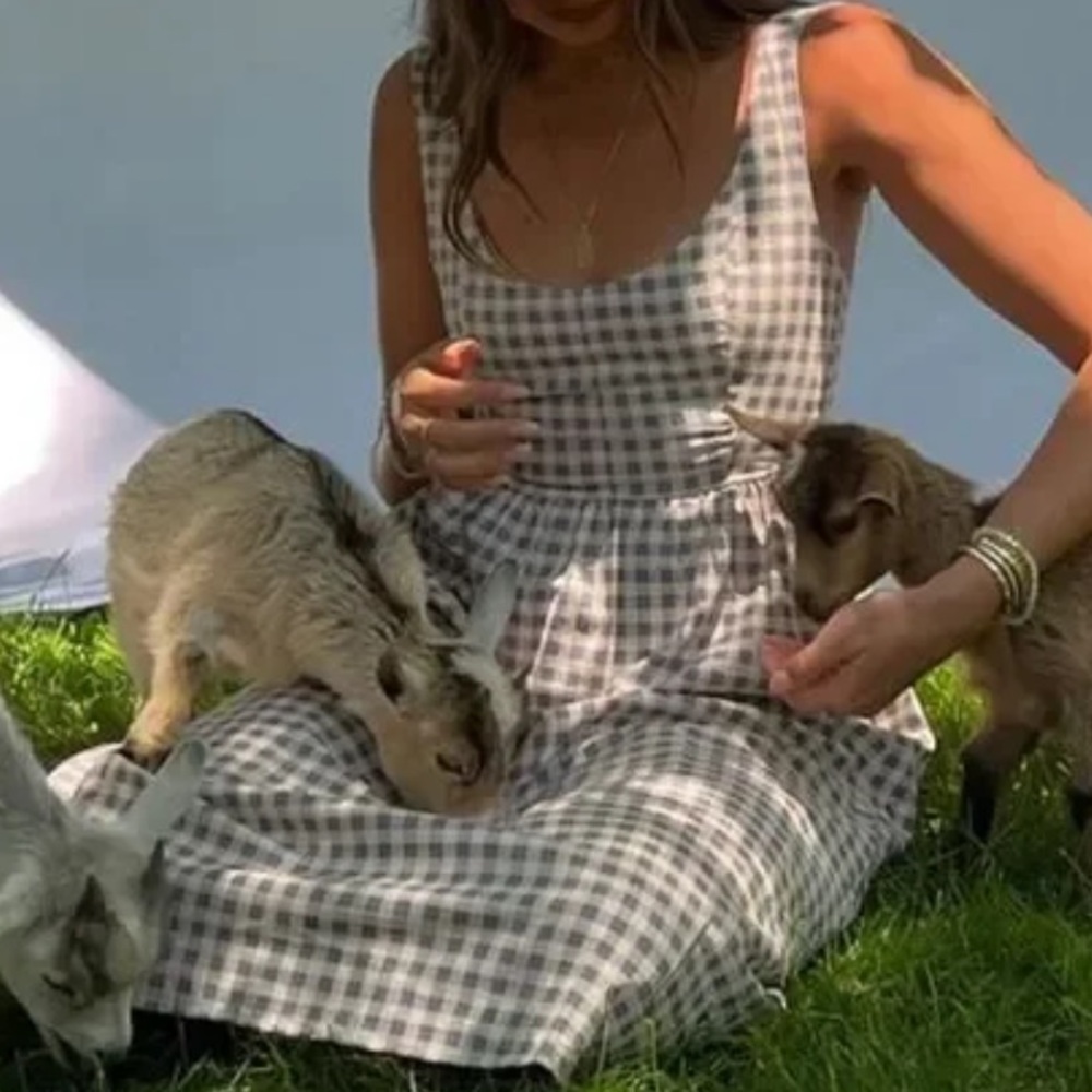 Weworewhat gingham corset dress